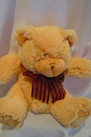 Teddy Bear Small