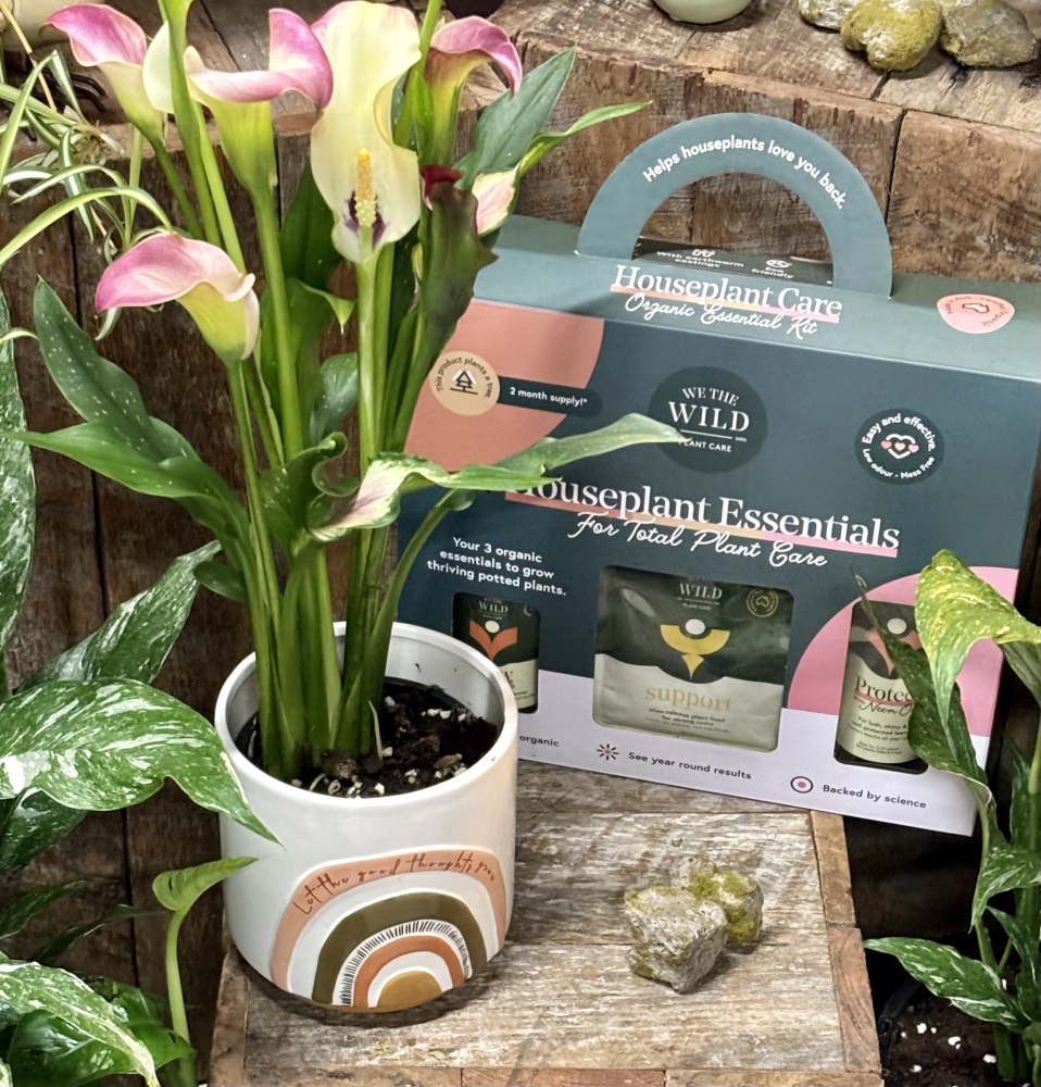 Calla Lilly Gift Set