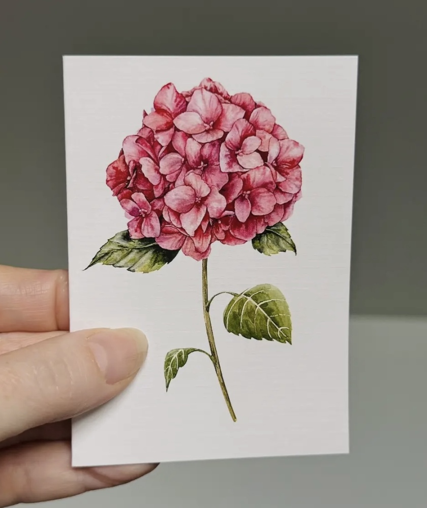 Hydrangea Pink Mini Card