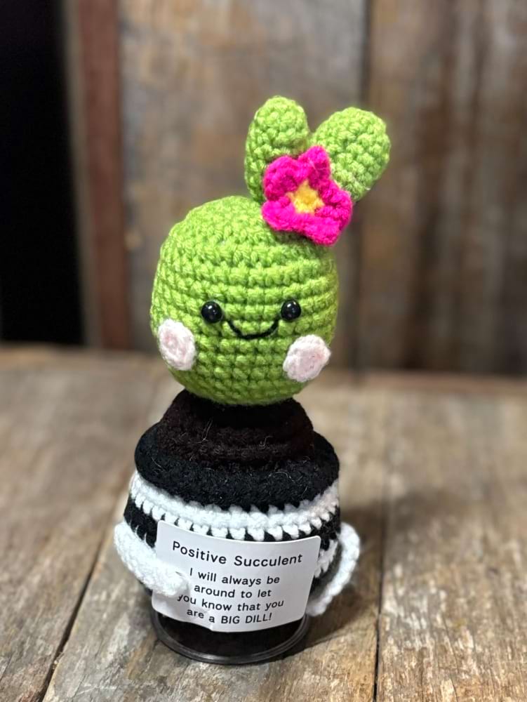 Emotional Support Positive Succulent