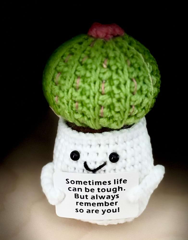 Emotional Positive Support Cactus