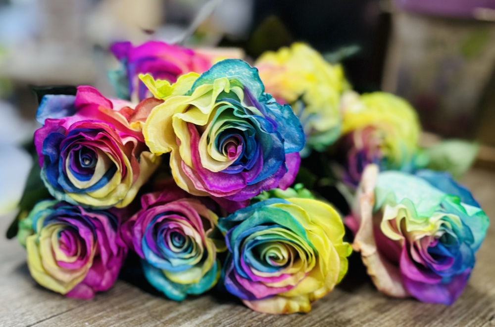 Rainbow Rose Pastels & Bright