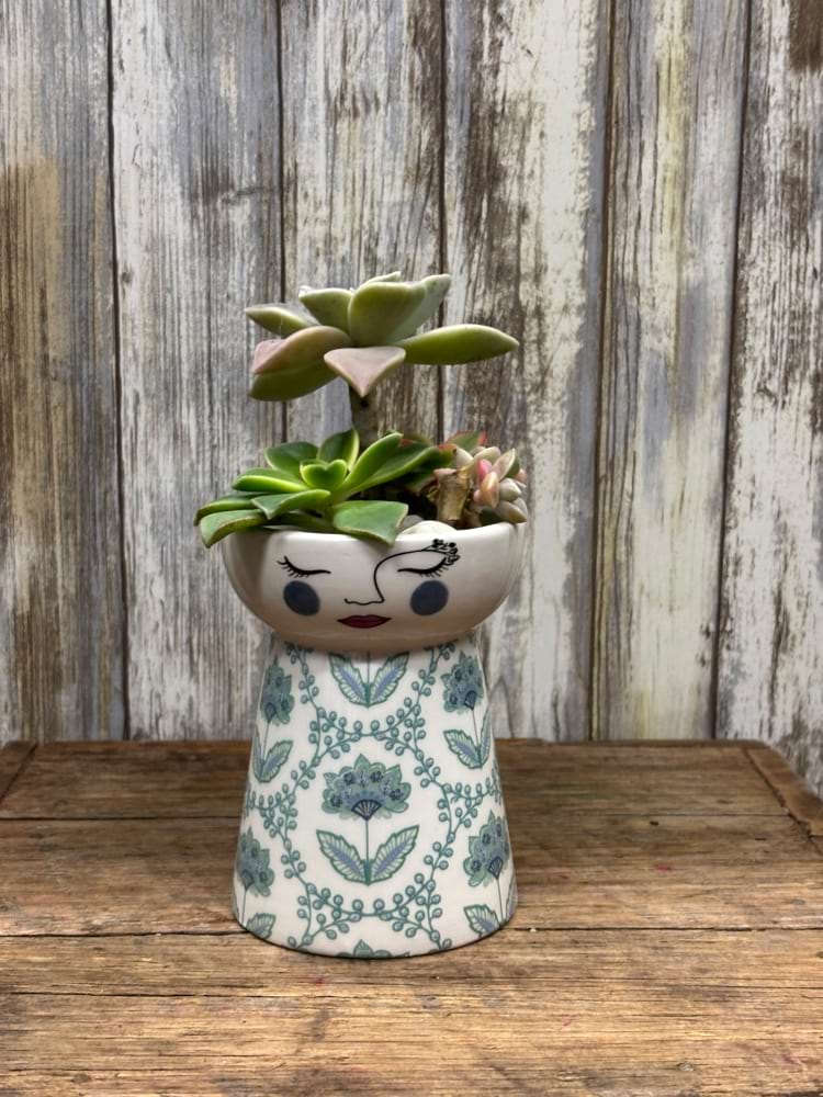 Blue Dolly Vase With Succulent Plant