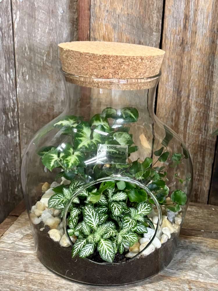 Living Indoor Garden