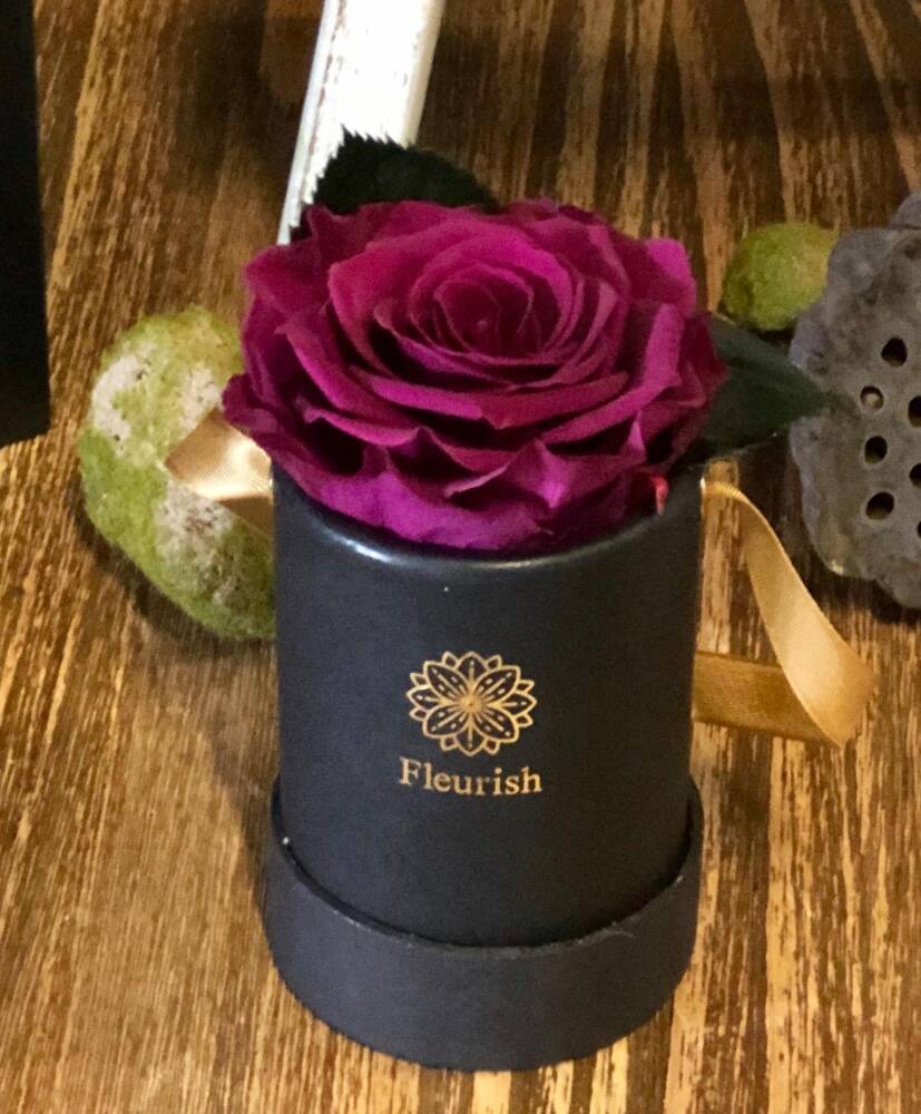 Purple Preserved Rose in a presentation box