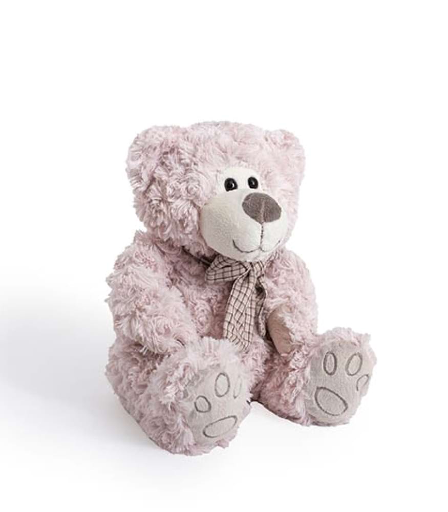 Luke Teddy Bear Pink