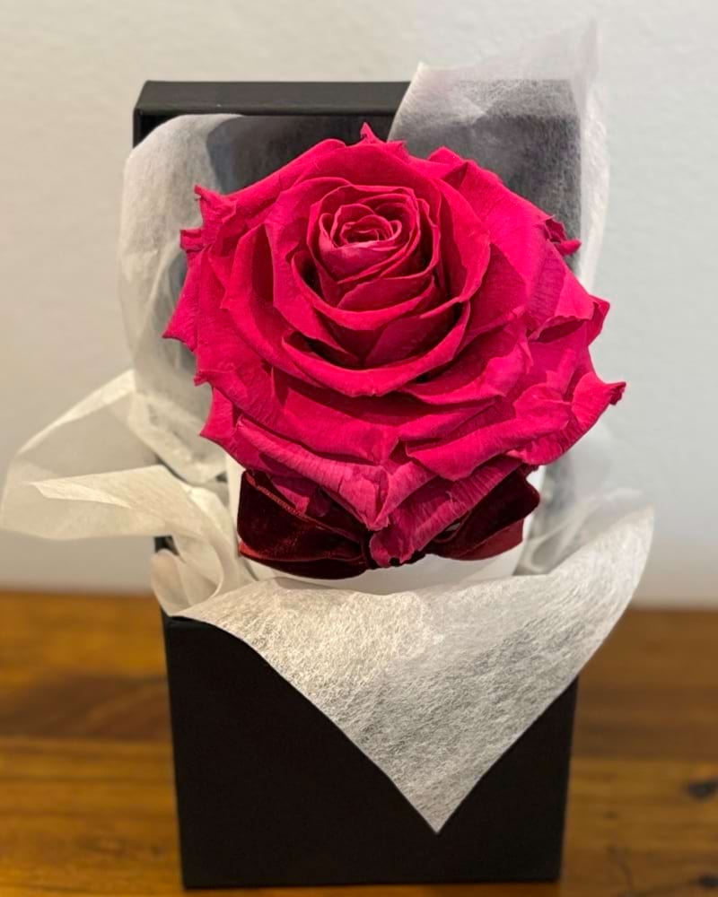 Rainbow Rose Preserved Gift