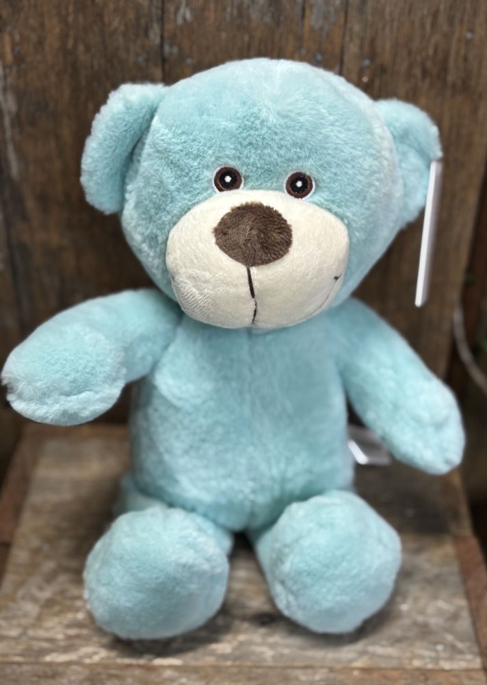 Mr Snuggles Aqua Teddy Bear 