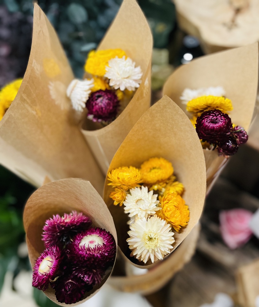 Paper Daisy Dried