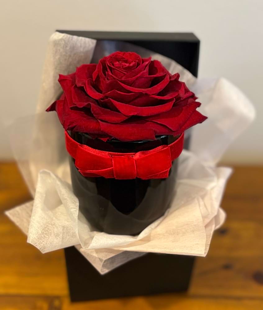 Rainbow Rose Preserved Gift