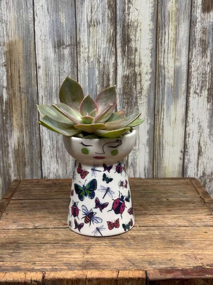 Butterfly Dolly Vase With Succulent Plant