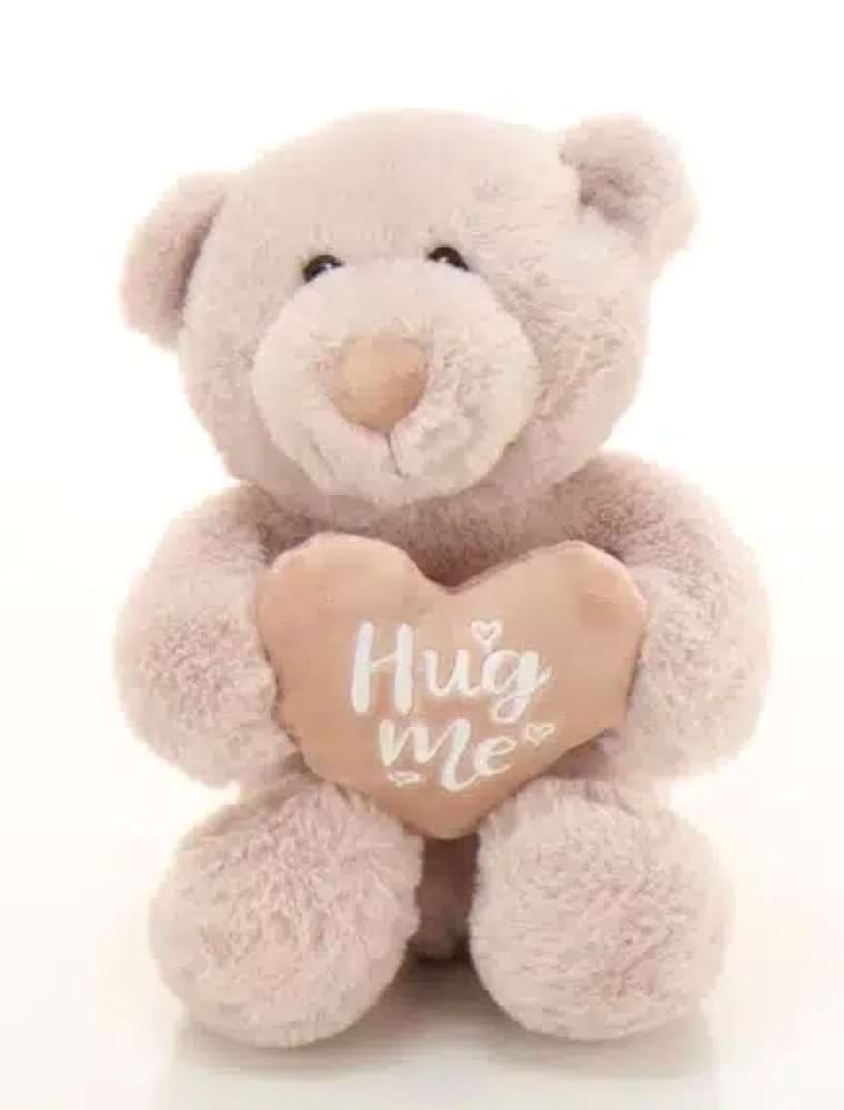 Hug Me PinkTeddy Bear