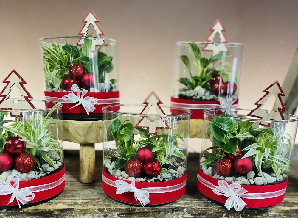 Christmas Plant Terrarium 
