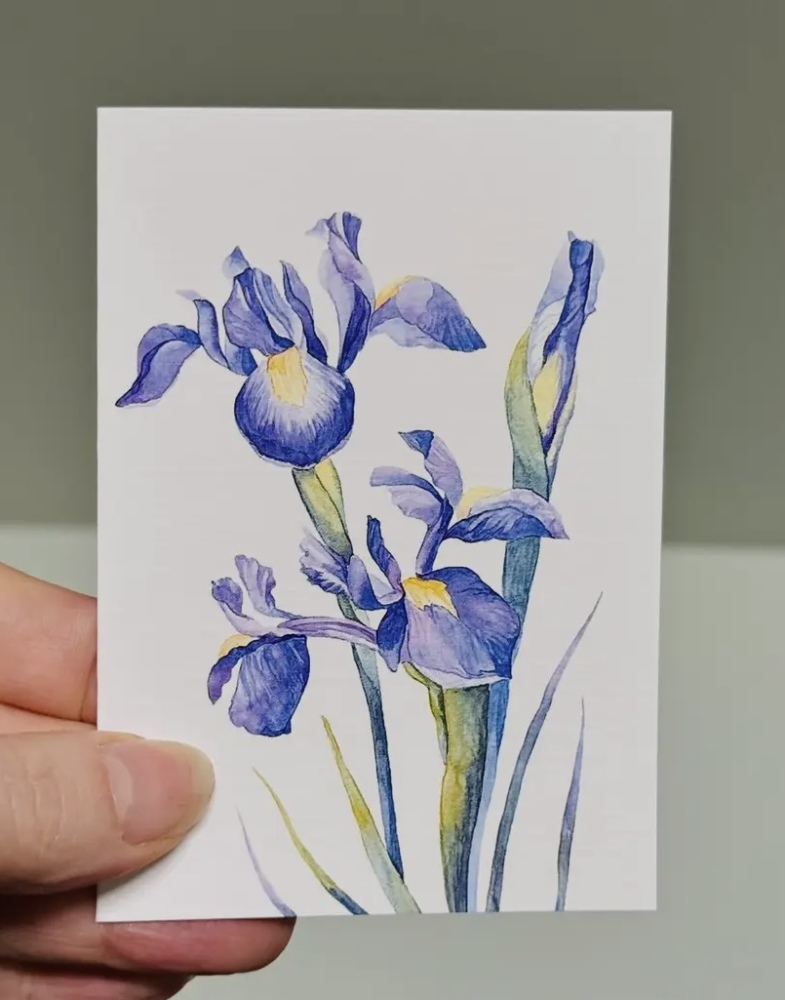 Iris Mini Card - 4 Designs 