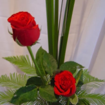Two Roses in a Vase