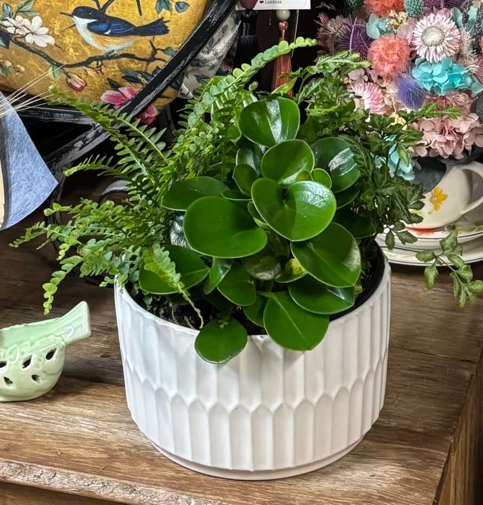 Gorgeous Greens Foliage Bowl