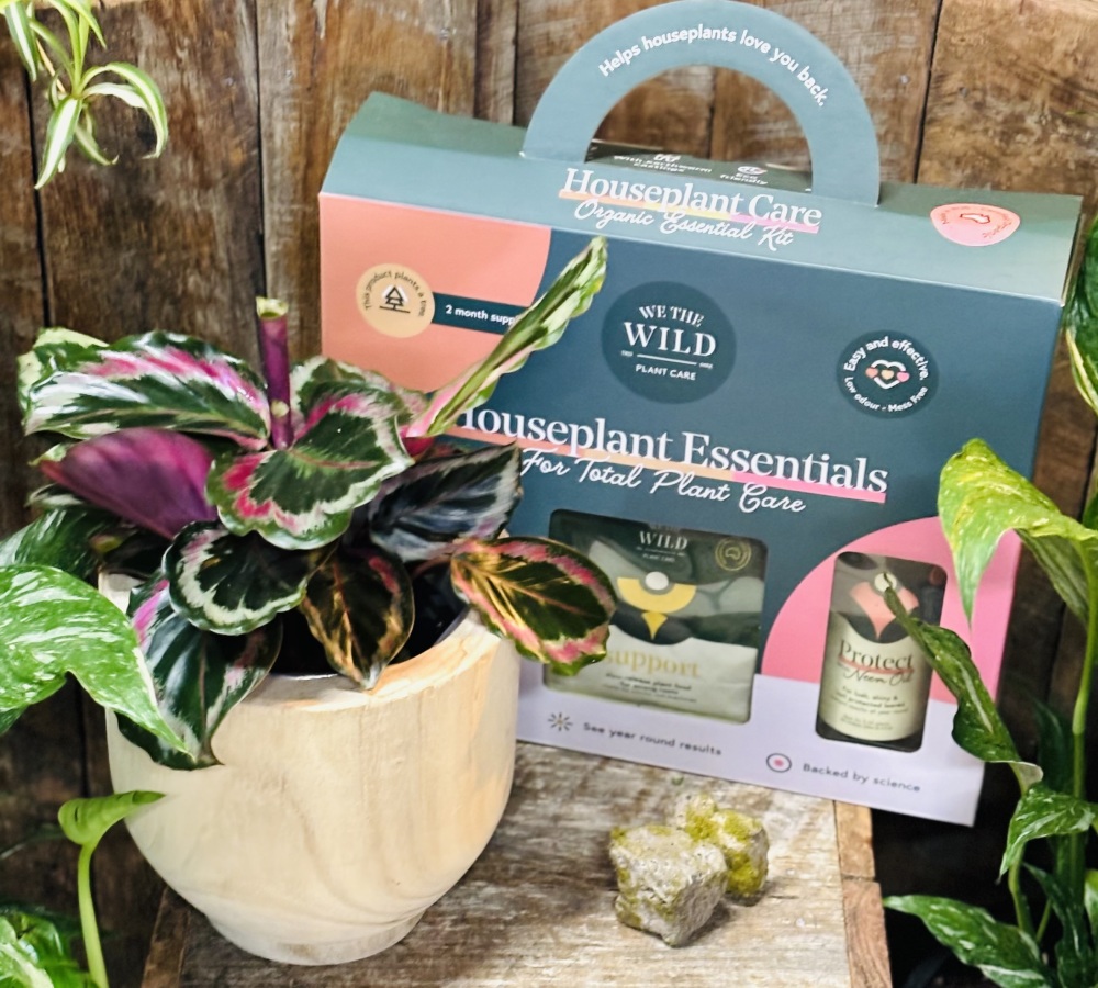 We The Wild Gift Pack & Plant 