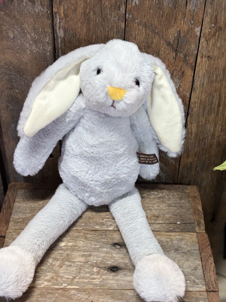 Blue & Green Bunny