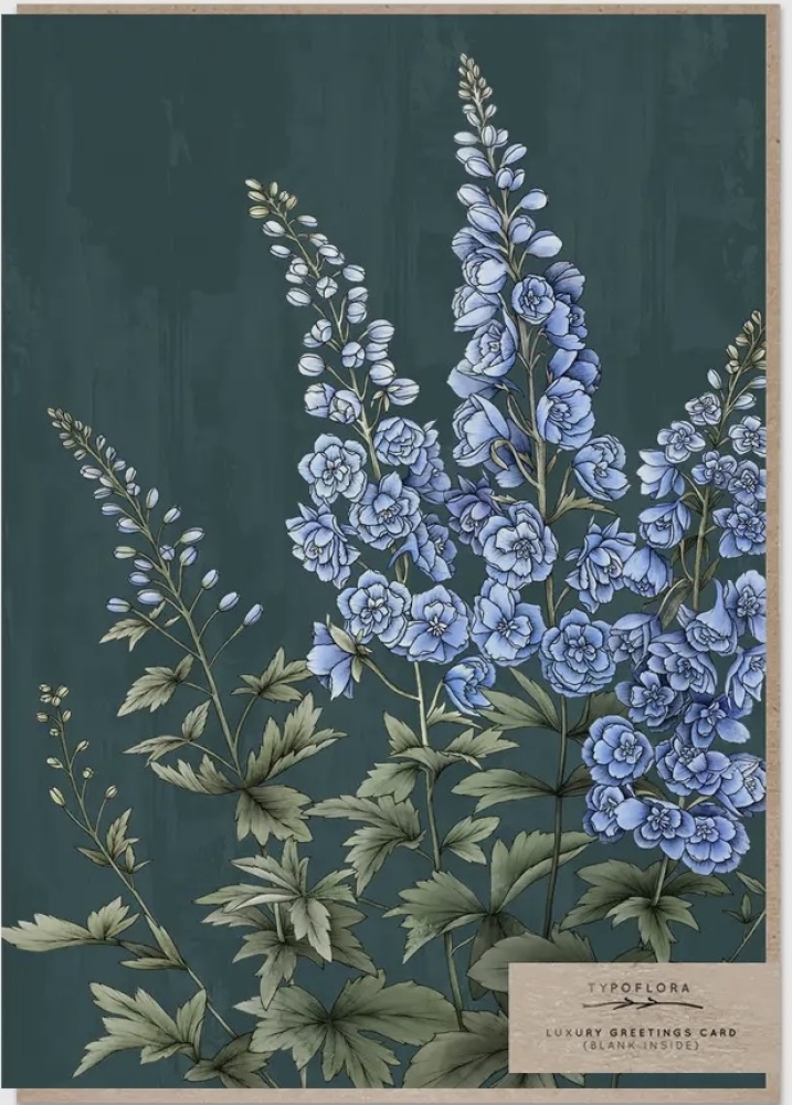 Delphinium Typoflora Card