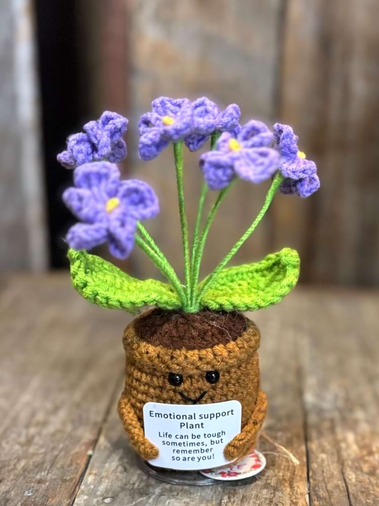 Emotional Support Plant Purple Flowers