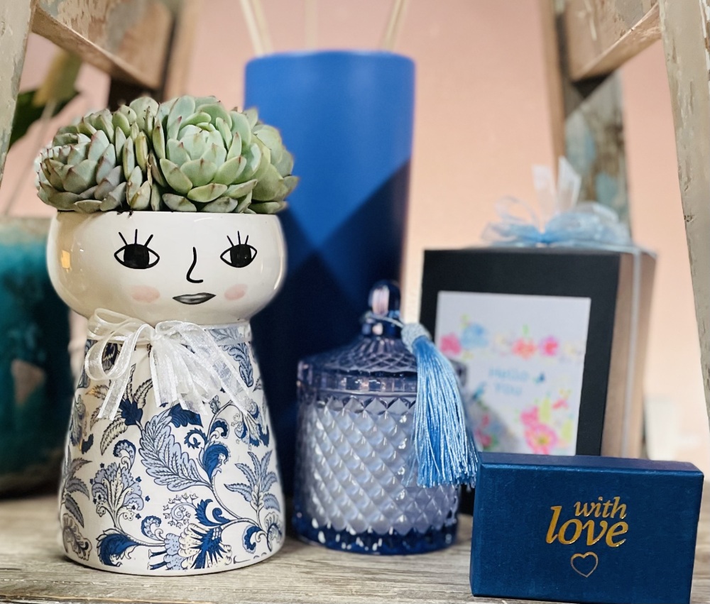 Dolly Vase Succulent 