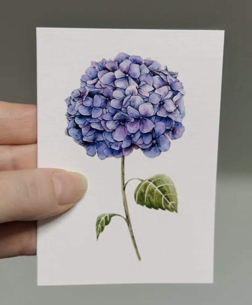 Hydrangea Blue Mini Card