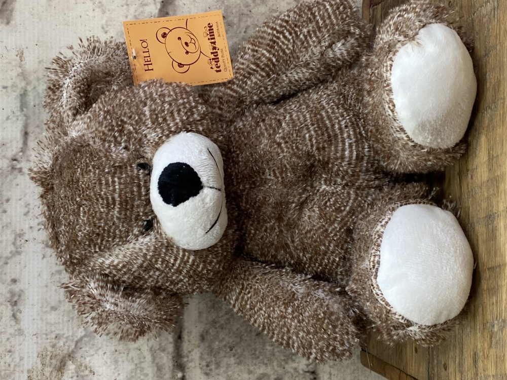 Brown & White Bear 