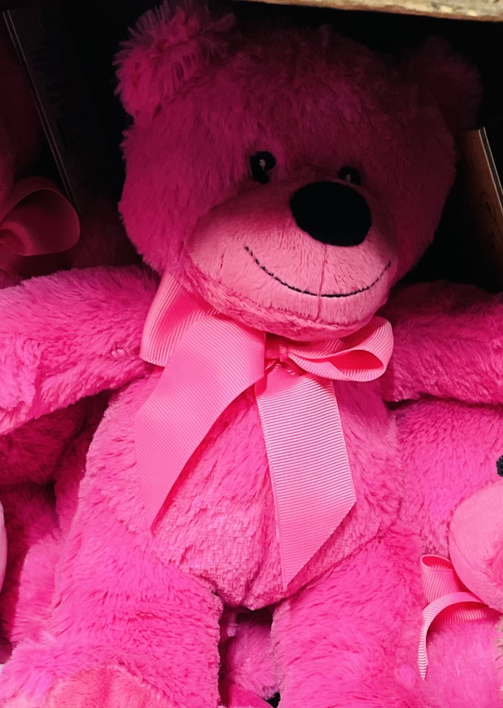 Pink Bear