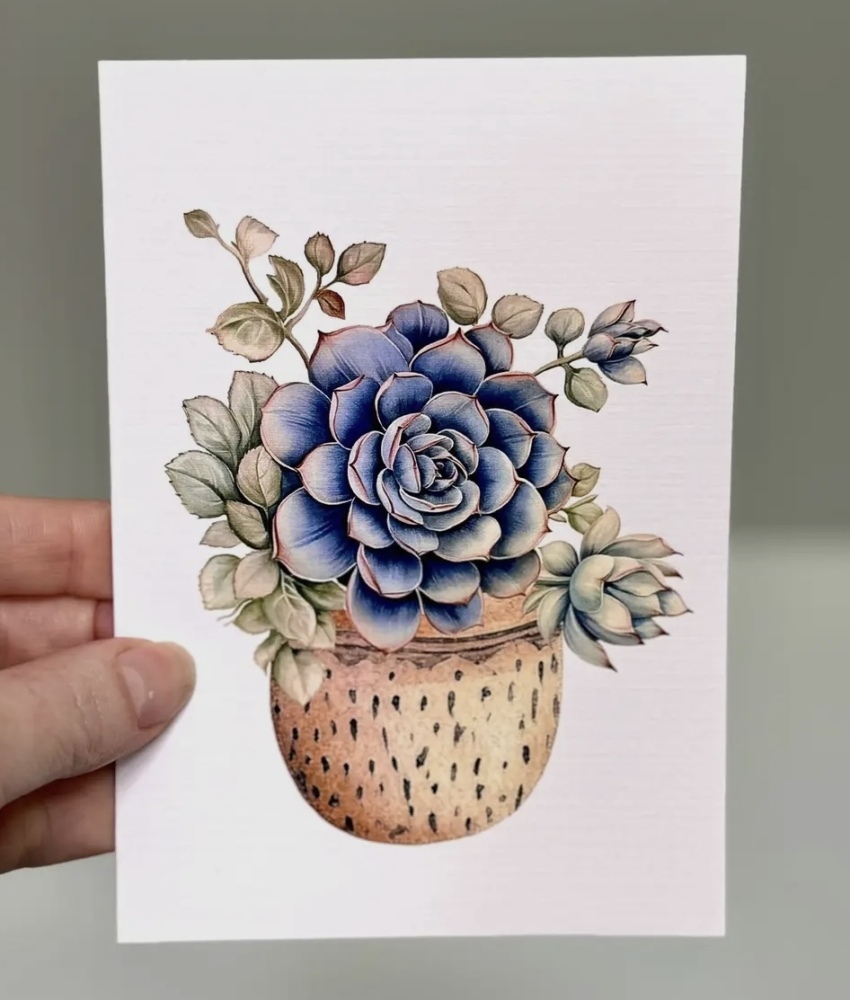 Blue Succulent Pot Card
