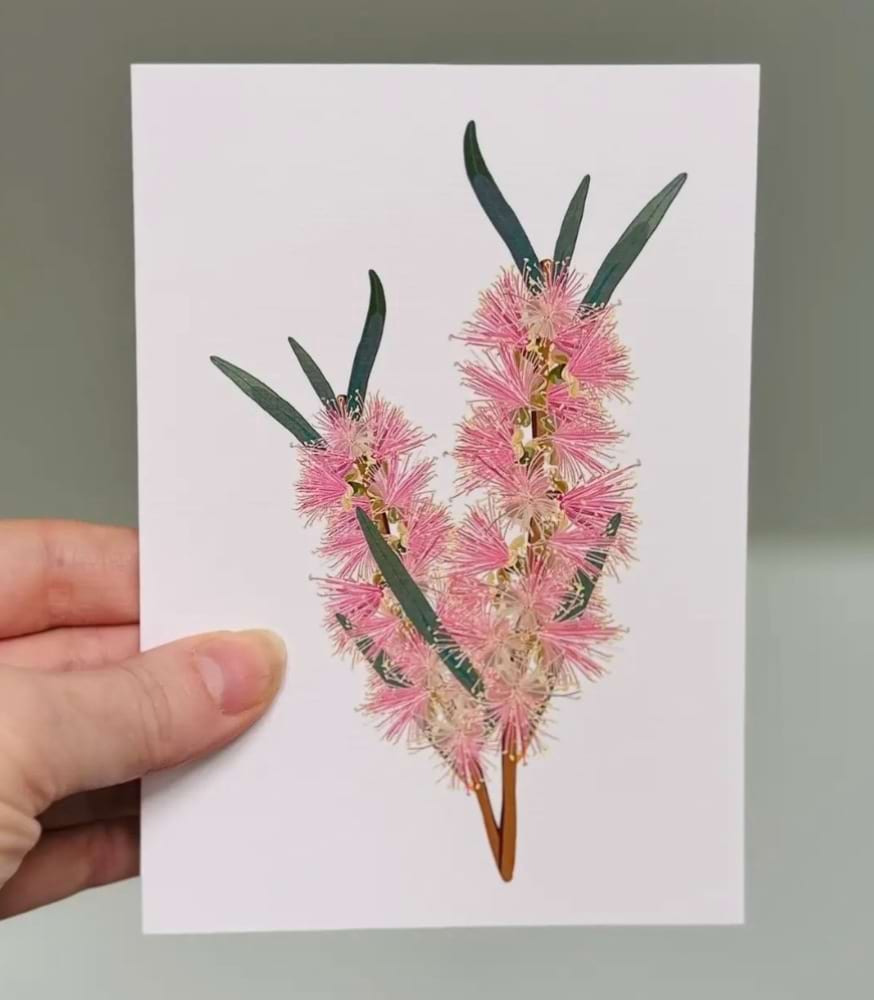 Pink Native Mini Card