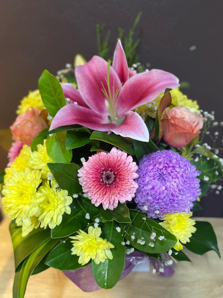 Colour Bomb Arrangement 
