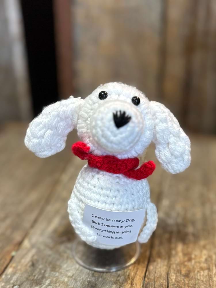 Positve Support White Puppy