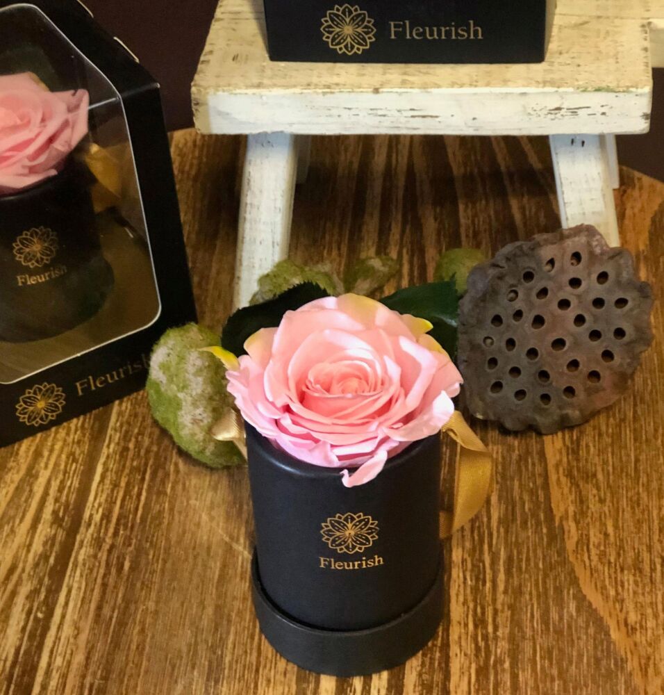 Pink Preserved Rose in a presentation box