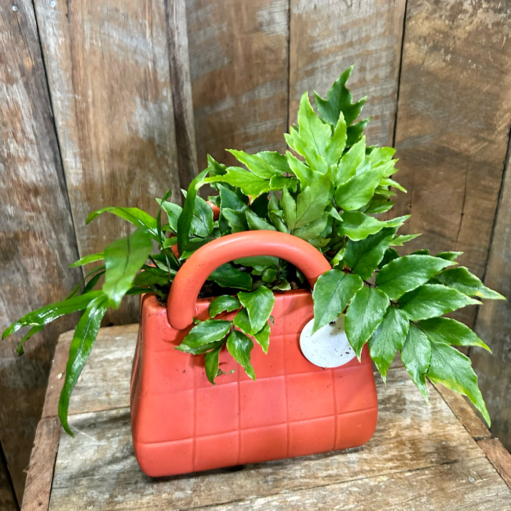 Orange ceramic handbag filled with foliage plants