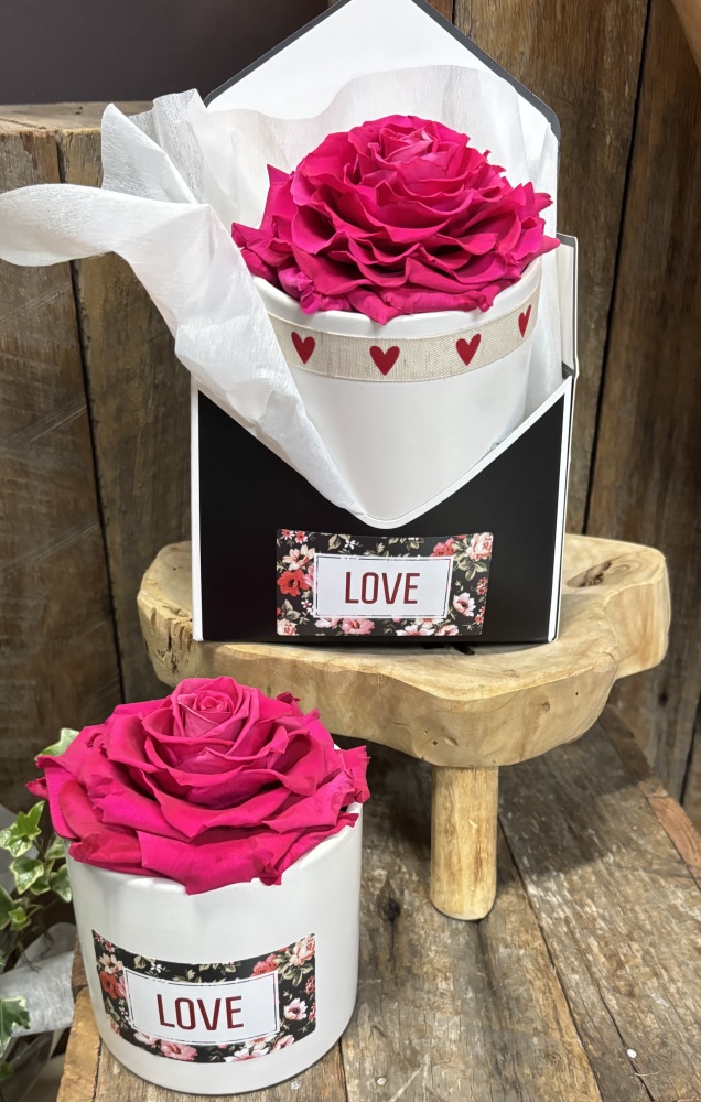 Preserved Hot Pink Preserved Rose